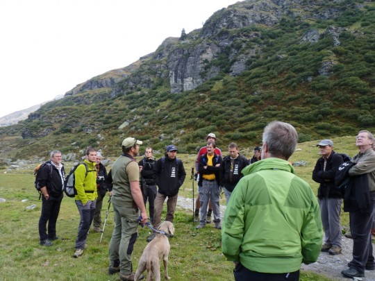 2011 Mettmen Wildhut
