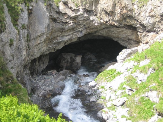 Kärpfbrücke1 Kärpfbrücke1